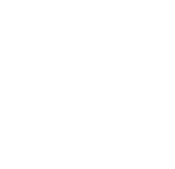 database technical support